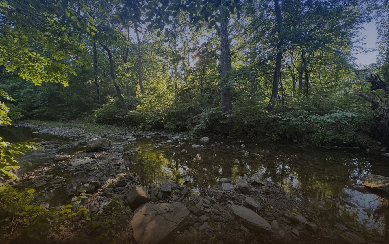 A tree-lined stretch of Cobbs Creek flowing over rocks